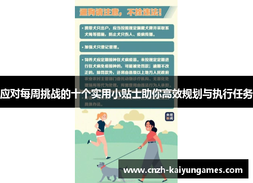 应对每周挑战的十个实用小贴士助你高效规划与执行任务