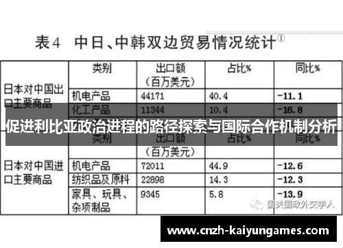 促进利比亚政治进程的路径探索与国际合作机制分析