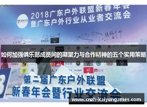 如何加强俱乐部成员间的凝聚力与合作精神的五个实用策略